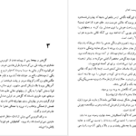 معرفی و دانلود کتاب شلغم میوه بهشته علی محمد افغانی 170 صفحه PDF