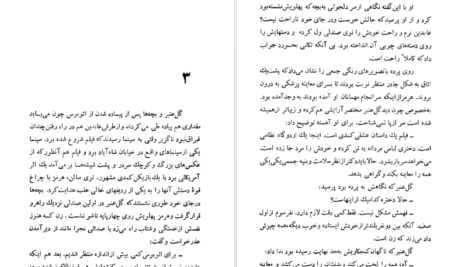 معرفی و دانلود کتاب شلغم میوه بهشته علی محمد افغانی 170 صفحه PDF