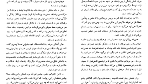 معرفی و دانلود کتاب عموزادگان سال بلو 109 صفحه PDF