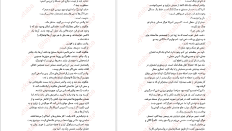 معرفی و دانلود کتاب دیوار آتش هنینگ مانکل 499 صفحه PDF