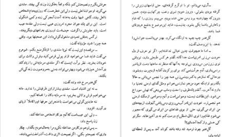 معرفی و دانلود کتاب شلغم میوه بهشته علی محمد افغانی 170 صفحه PDF