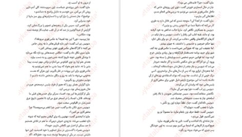 معرفی و دانلود کتاب عکس فوری برندون سندرسون 89 صفحه PDF