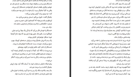 معرفی و دانلود کتاب اکو پم مونوس رایان 144 صفحه PDF