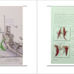 معرفی و دانلود کتاب یوگا و آناتومی ری لانگ 202 صفحه PDF