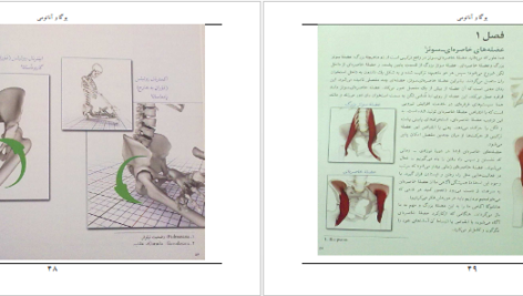 معرفی و دانلود کتاب یوگا و آناتومی ری لانگ 202 صفحه PDF
