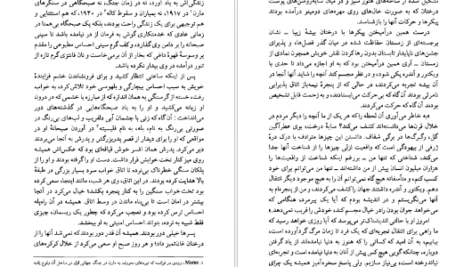 معرفی و دانلود کتاب خویشاوندان دور کارلوس فوئنتس 269 صفحه PDF