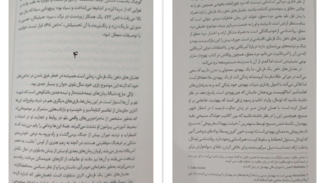 معرفی و دانلود کتاب هذیان‌های ذهن یک قربانی سال بلو 317 صفحه PDF