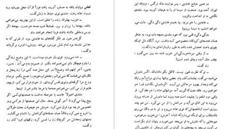 معرفی و دانلود کتاب شلغم میوه بهشته علی محمد افغانی 170 صفحه PDF