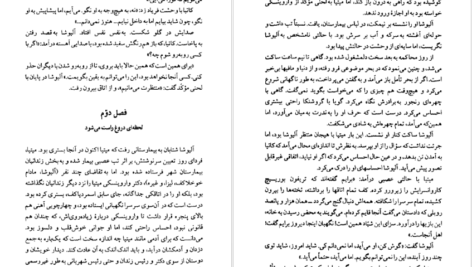 معرفی و دانلود کتاب برادران کارامازوف جلد 2 فئودور داستایفسکی 600 صفحه PDF